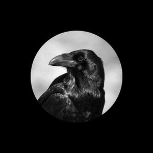 安徽妇搡BBBB搡BBBB小说
